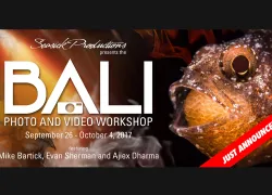 Bali photo and video workshop