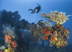 scuba diving wrecks