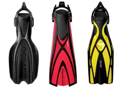 thumbnail_fins.jpg.webp