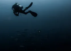 tips for lost diver