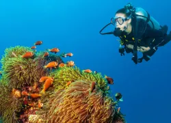 neutral buoyancy