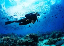 undersea-scuba-diver.jpg.webp