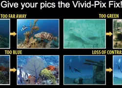 vivid-pix-scuba-fix.jpg.webp