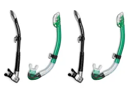 -gear-guide-snorkels-teaser_x.jpg.webp