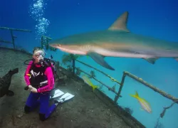 _scuba_diving_ray_of_hope_frazier_nivens_aa_.jpg.webp