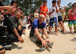TurtleConservation.ScubaDivingMag.June.jpg.webp