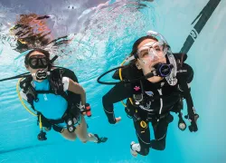 adaptive-diving-padi.jpg.webp