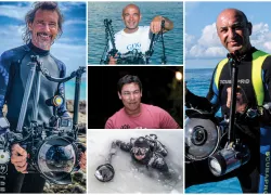 all-scuba-diving-magazine-photo-contest-winners.png.webp
