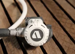 apeksxl-reg.jpg.webp