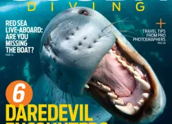 aprilcover.jpg.webp