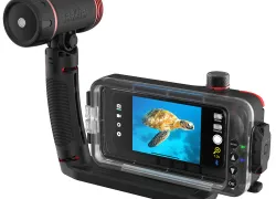back-shot-sea-life-sport-diver-iphone-case.jpg.webp