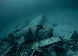 bahamas-allstar-airplane-wreck-.jpg.webp