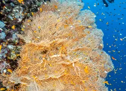 below_surface_tobias_friedrich__i_edit.jpg.webp