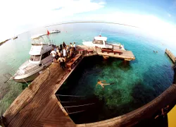 benz-bonaire_.jpg.webp