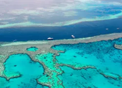 best-australia-diving-.jpg.webp