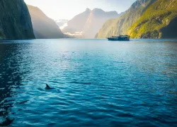 best-dives-new-zealand-milford-sound-.jpg.webp