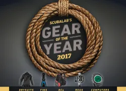 best-scuba-diving-gear--scubalab-gear-review-scuba-diving-.jpg.webp