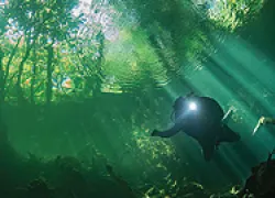 cenote-scuba-dving-thumb.jpg.webp