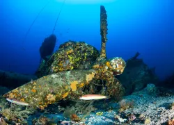 croatia-wrecks-b-liberator-plane-closeup-franco-banfi-.jpg.webp
