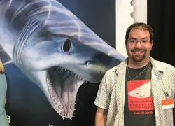 david-shiffman-shark-stamps.jpg.webp