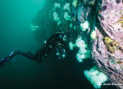 dive-model-brent-durand.jpg.webp