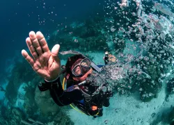 dive-pro-emergency-ascent-bonaireow_.jpg.webp