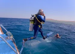 dive-pro-plan-your-dive-shutterstock_.jpg.webp