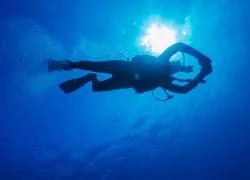 dive-pro-underwater-navigation-shutterstock_.jpg.webp