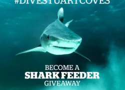 dive_stuart_coves_teaser_contest.jpg.webp