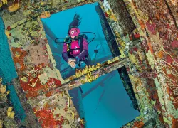 diver-on-kittiwake-alex-mustard-.jpg.webp