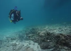 diver-photographing-north-america-matt-lawrence.png.webp