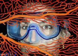 diver-sea-fan-branon-cole.jpg.webp