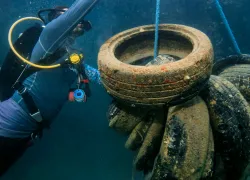 diver-with-lift-bag-thailand-thais-paz.jpg.webp