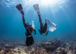 divers.fins_.scubadivingmag.march.jpg.webp