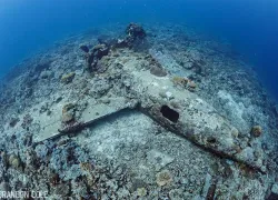 diving-solomon-islands-wildcat-fighter-plane-wz-d-brandon_cole_web_version.jpg.webp