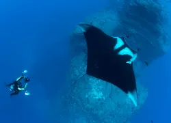 drift-diver-tips-mexico-annie-crawley_scu.jpg.webp