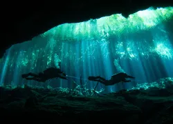 eden-cenote-brandi-mueller.png.webp
