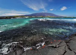 fernandinaisland_galapagos_credit_ecoventura.jpg.webp