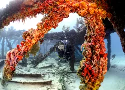 flkeys_marathon-diver-barge_scd.jpg.webp