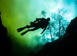florida-ginnie-springs-silhouette-diver-in-tannic-susan-meldonian.jpg.webp