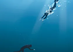 freediver-blacking-out-illustration-steven-p-huges.jpg.webp
