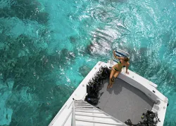 generaldiving_istock__full_.jpg.webp