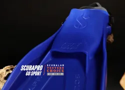 go-sport-fins.jpg.webp