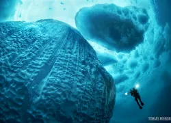 greenland_icebergs.jpg.webp