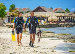 hagen-wegerer-diving__edit.jpg.webp