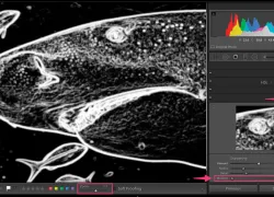 imaging_detail_oriented_erin_quigley_scu.jpg.webp