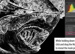imaging_masking-.jpg.webp