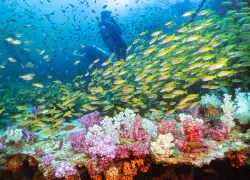 king-cruiser-wreck-shutterstock-methanon.jpg.webp