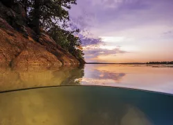 lake-murray-jennifer-idol.jpg.webp