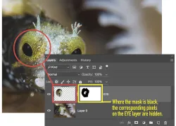 layer_mask_ma.jpg.webp